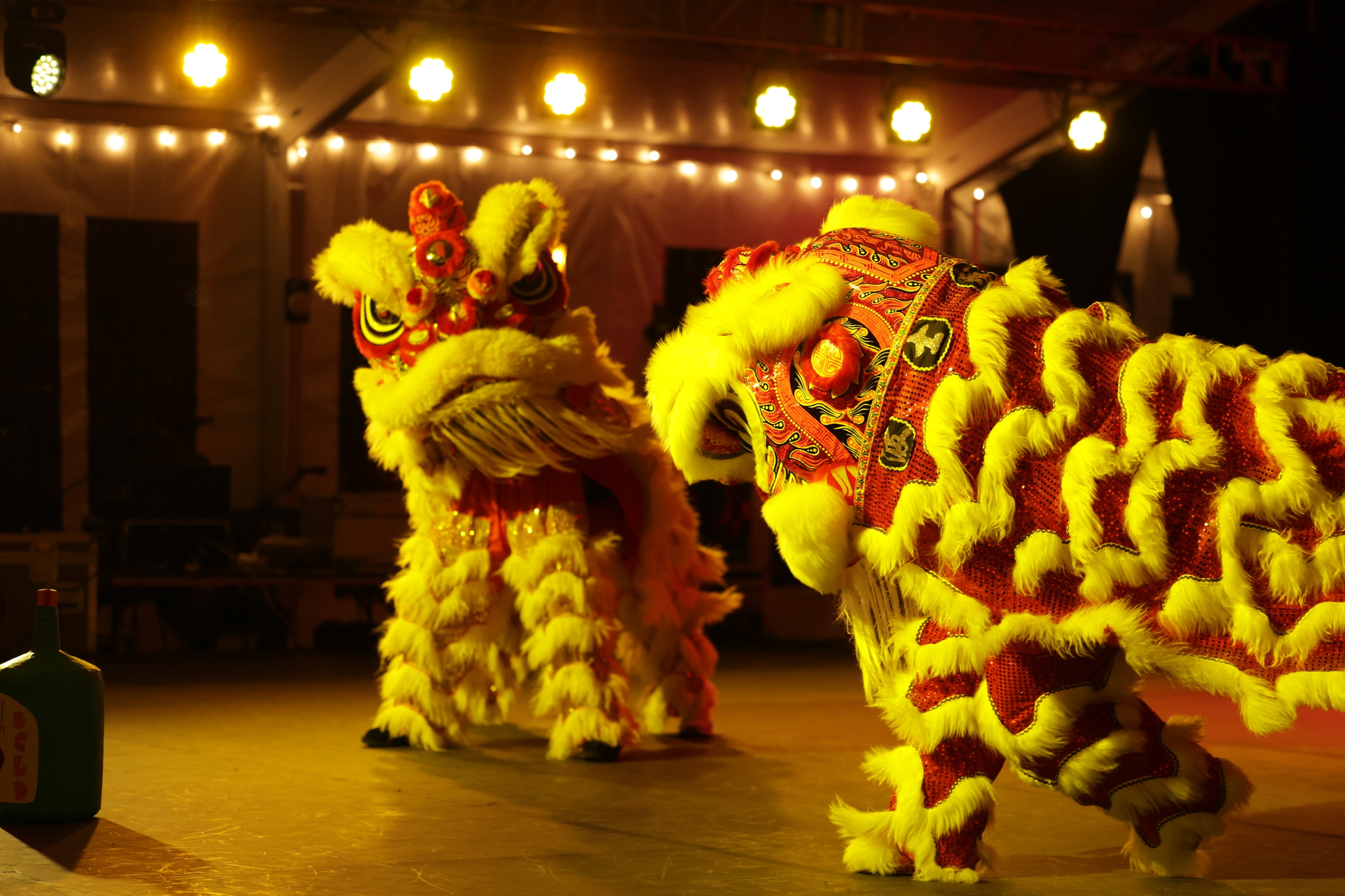 Lunar New Year Cultural Celebration