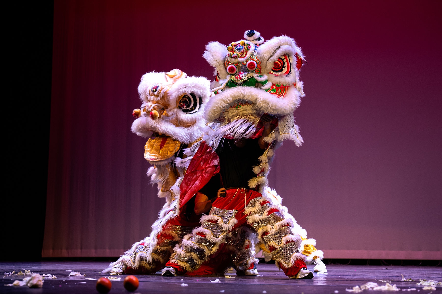 Boston College Lion Dance Primary Featured Image